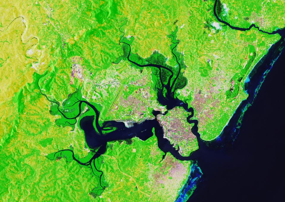 An aerial view of a tree covered area
